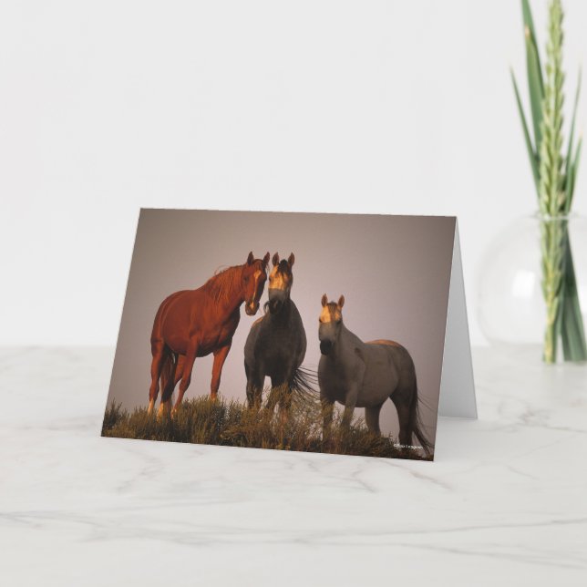 Bob Langrish | Three Arabs Standing In Sunset Card (Front)