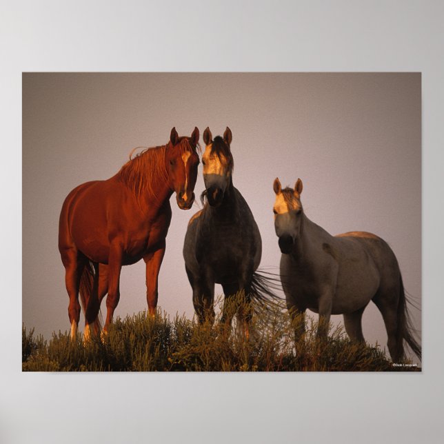 Bob Langrish | Three Arabs Standing In Sunset Poster (Front)