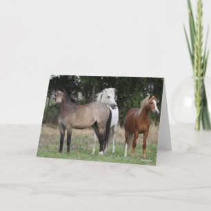 Bob Langrish   Three Ponies Standing Together Card