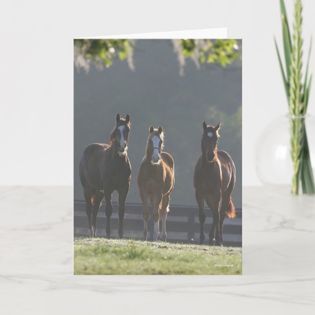 Bob Langrish | Three Quarter Horse Youngsters Card (Front)