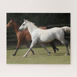 Bob Langrish Two Arab Horses Runnng Together Jigsaw Puzzle