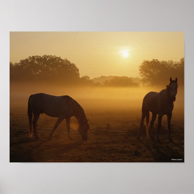 Bob Langrish Two Arabs Standing In Mist At Sunrise Poster (Front)