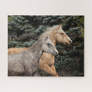 Bob Langrish Two Bashkir Curly Horses Headshot Jigsaw Puzzle