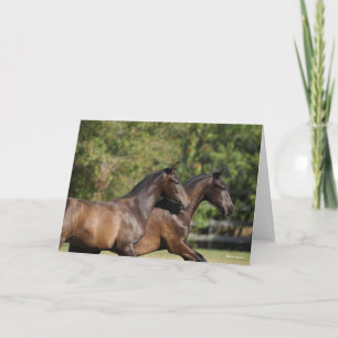 Bob Langrish   Two Brown Andalucian Horses Running Card