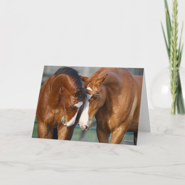 Bob Langrish | Two Canadian Sport Horses Meeting Card (Front)