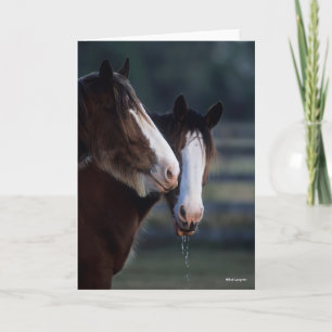 Bob Langrish   Two Clydesdale Horses Headshot Card