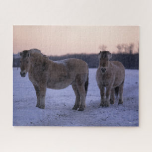Bob Langrish   Two Fjord Horses Standing In Snow Jigsaw Puzzle