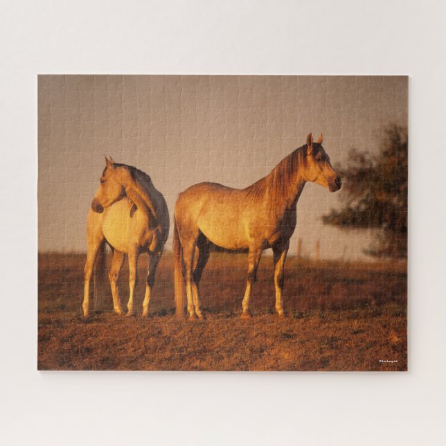 Bob Langrish | Two Grey Arabs Standing at Sunset Jigsaw Puzzle (Horizontal)