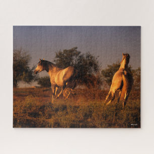 Bob Langrish   Two Horses Running In Sunset Jigsaw Puzzle