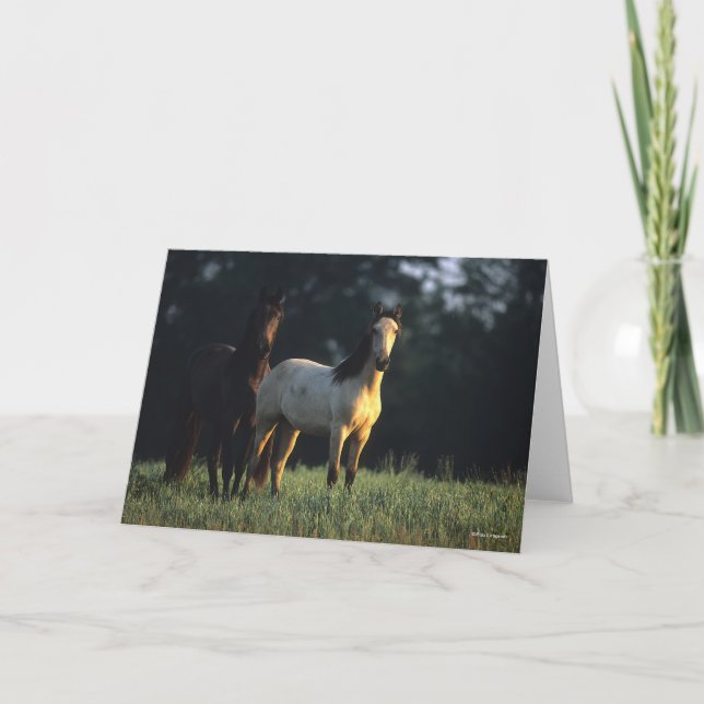 Bob Langrish | Two Kiger Mustangs Standing Card (Front)