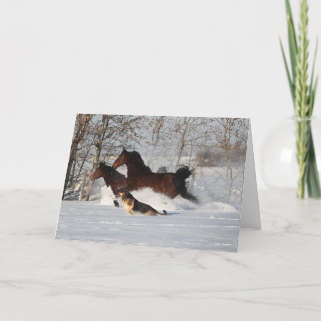 Bob Langrish | Two Morgan Horses and Dog In Snow Card (Front)