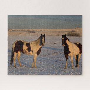 Bob Langrish   Two Paint Horses In The Snow Jigsaw Puzzle