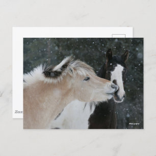 Bob Langrish   Two Ponies Meeting In Snow headshot Postcard