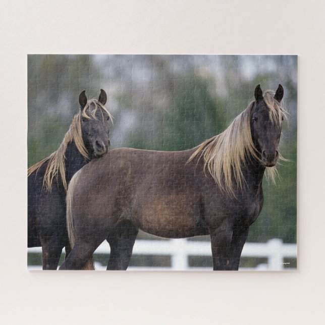 Bob Langrish | Two Rocky Mountain Horses Standing Jigsaw Puzzle (Horizontal)