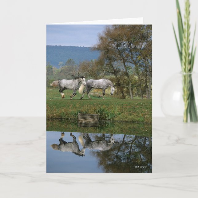 Bob Langrish | Two Together Warmbloods By Lake Card (Front)