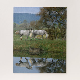 Bob Langrish Two Together Warmbloods By Lake Jigsaw Puzzle