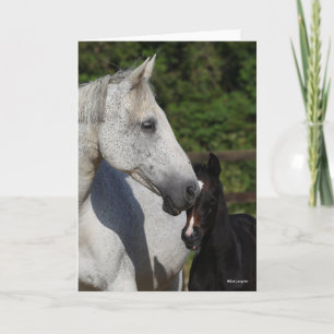 Bob Langrish   Warmblood Mare and Foal Headshot Card