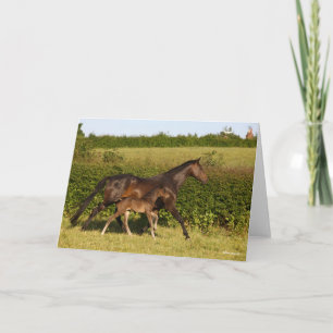 Bob Langrish   Warmblood mare and Foal Walking Card