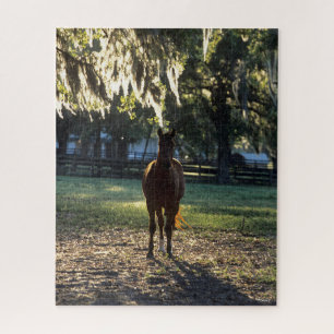 Bob Langrish Warmblood Standing Backlit Jigsaw Puzzle