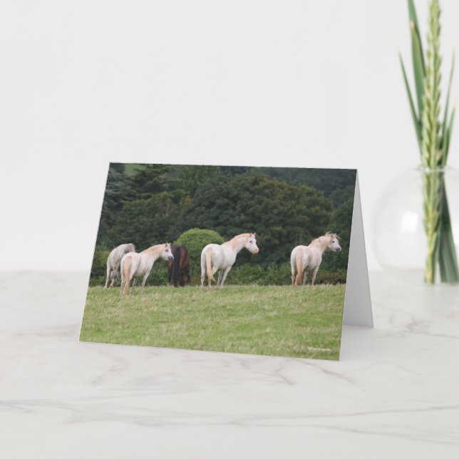 Bob Langrish | Welsh  Ponies Standing In Field Card (Front)