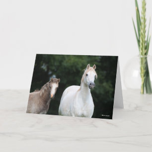 Bob Langrish   Welsh Pony Mare and Foal Card