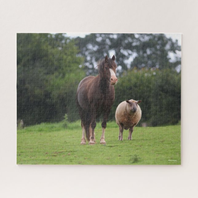 Bob Langrish | Welsh Pony Mare Standing With Sheep Jigsaw Puzzle (Horizontal)