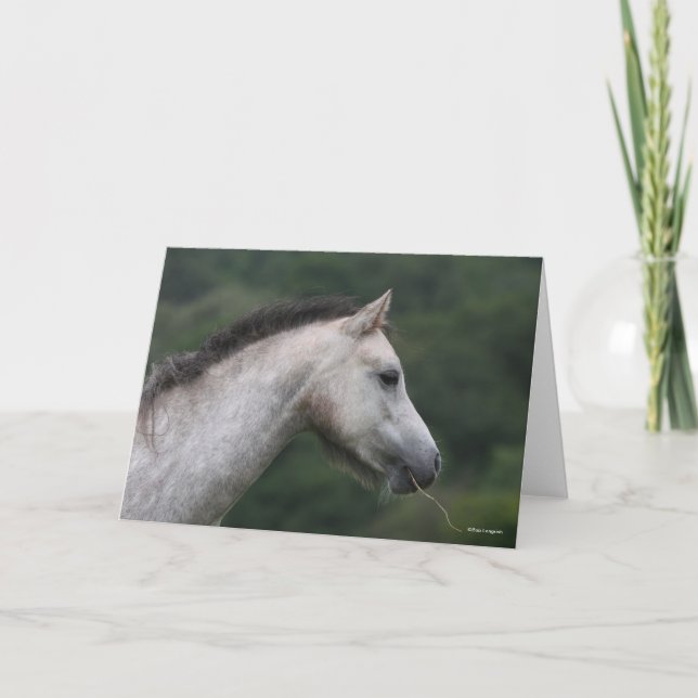 Bob Langrish | Welsh Section A Pony Headshot Card (Front)