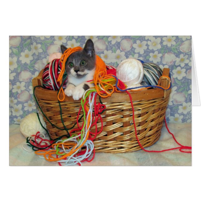 Bob Spinn'in a Yarn Card (Front Horizontal)