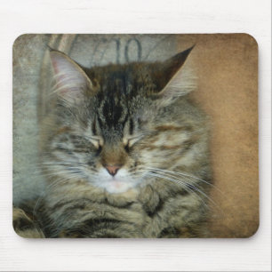 Bob the Cat Mouse Mat