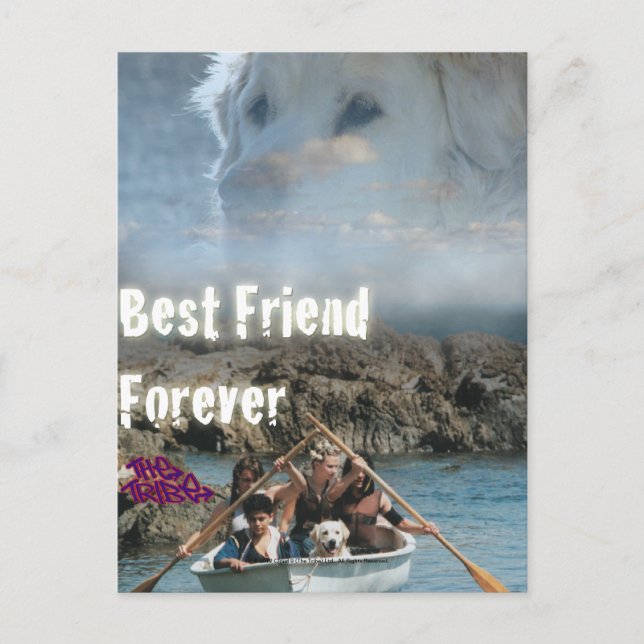 Bob The Dog - Best Friend Forever Postcard (Front)