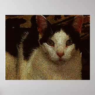 Bob the Serious Poster