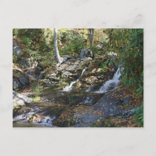 Bobby McLean Memorial Park #5, Newland, NC Postcard