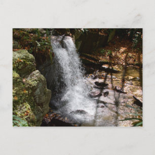 Bobby McLean Memorial Park waterfall #2 Postcard