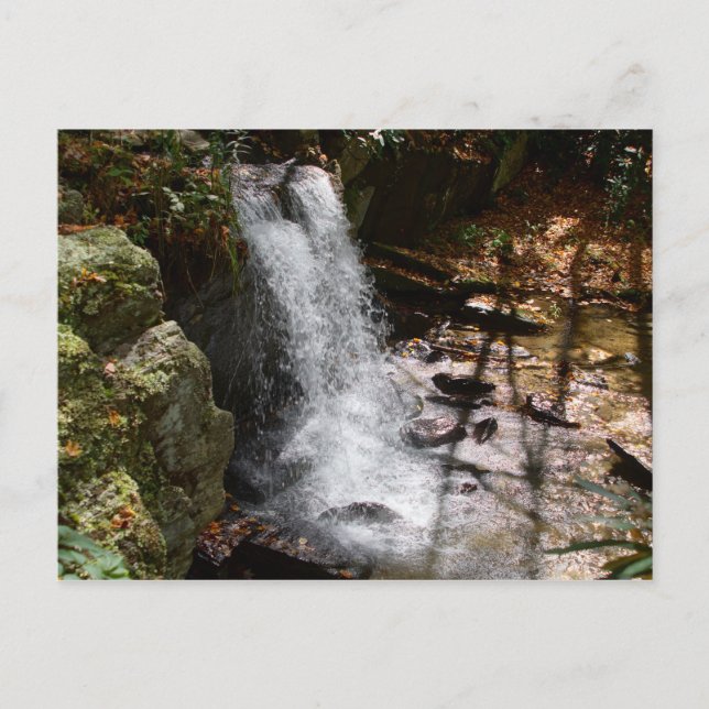 Bobby McLean Memorial Park waterfall #2 Postcard (Front)