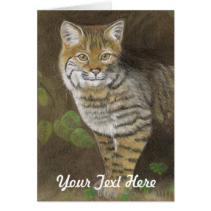 Bobcat