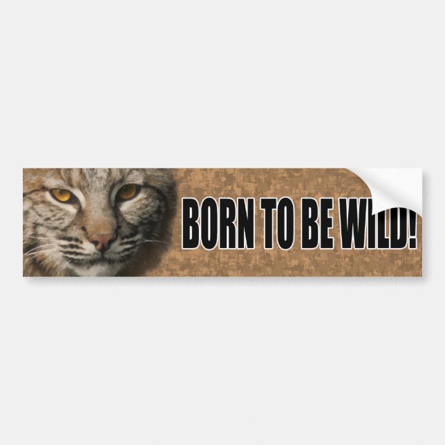 Bobcat Bumper Sticker - Born to be wild! (Front)