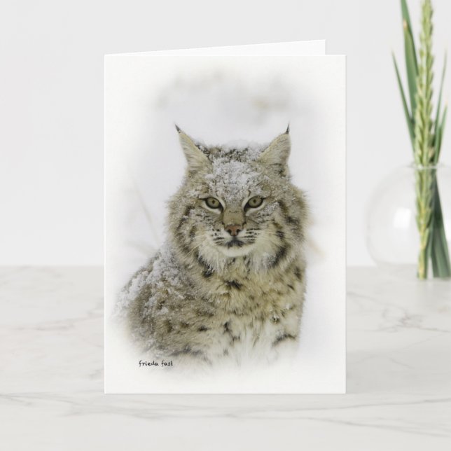 Bobcat Card (Front)