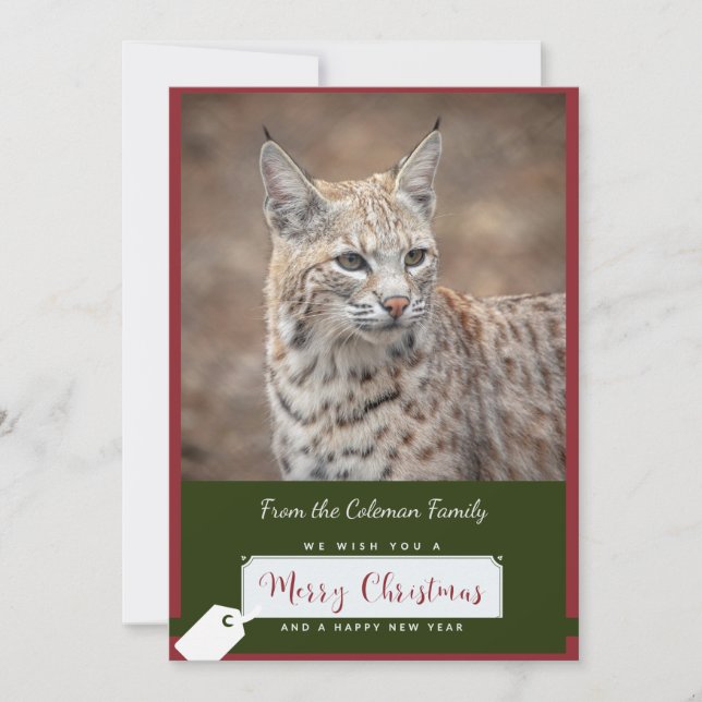 Bobcat Christmas Card (Front)