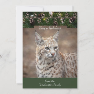 Bobcat Christmas Card