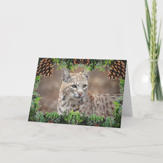 Bobcat Christmas Card (Front)
