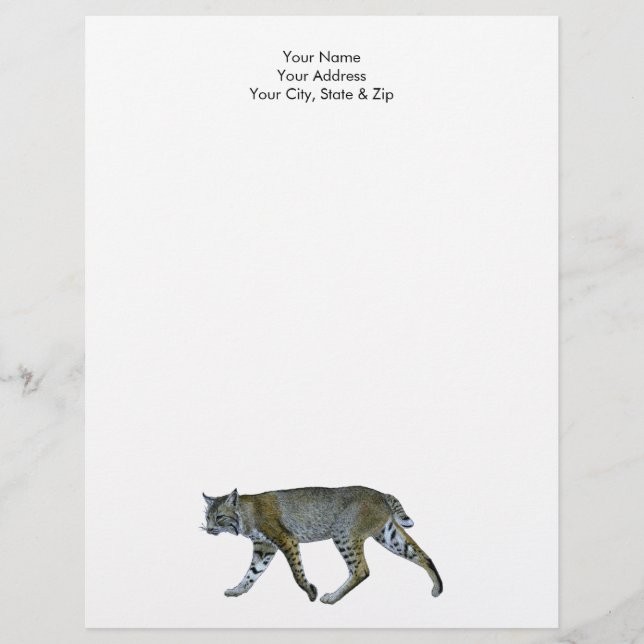 Bobcat Custom Letterhead (Front)