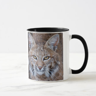 Bobcat Face Mug