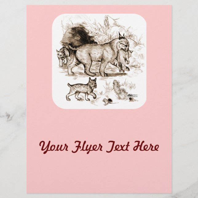 Bobcat Family Flyer (Front)