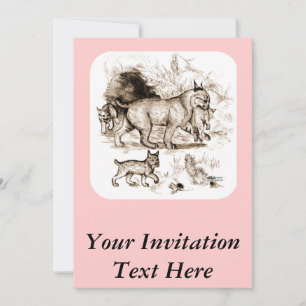 Bobcat Family Invitation