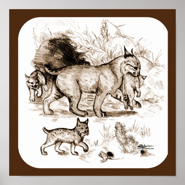 Bobcat Family Poster (Front)