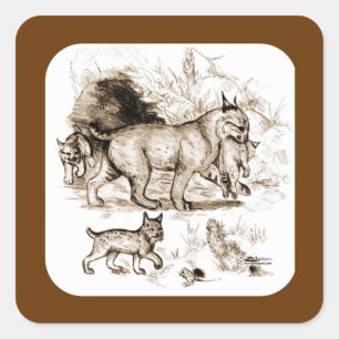 Bobcat Family Square Sticker
