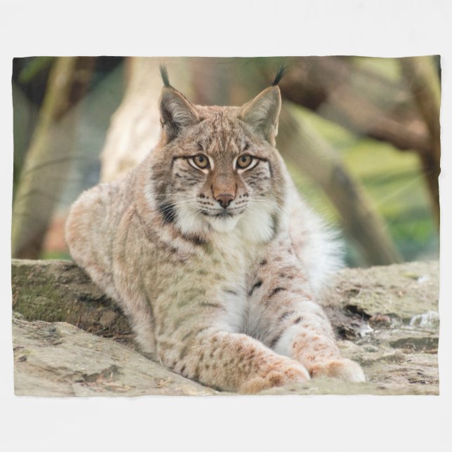 Bobcat Fleece Blanket (Front (Horizontal))
