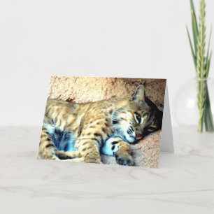 Bobcat Habitat Greeting Card