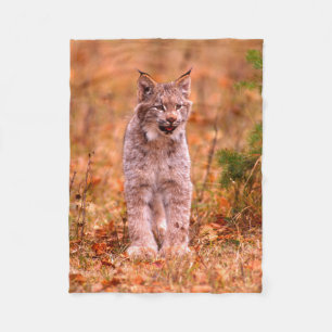 Bobcat Hunting   Autumn Forest Fleece Blanket