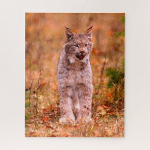 Bobcat Hunting   Autumn Forest Jigsaw Puzzle